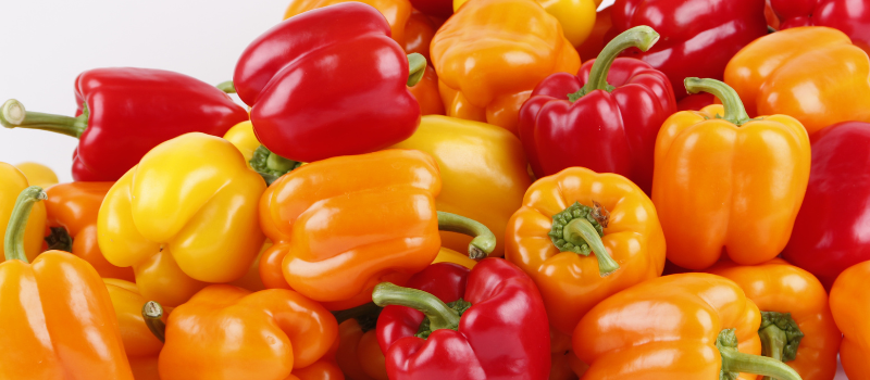 Rode, oranje en gele paprika’s op een witte achtergrond, kleurrijke groenten