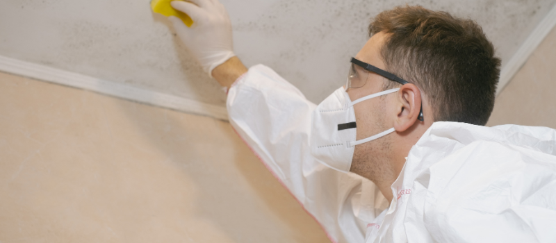 Expert in beschermende kleding verwijdert schimmel van plafond