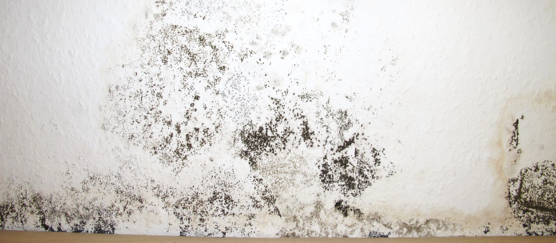 Schimmel op plafond door vochtprobleem in huis