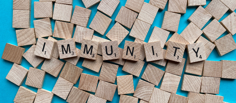 Het woord immunity gespeld met houten scrabble-letters op blauwe achtergrond