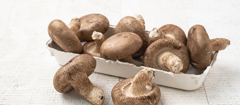 Verse shiitake paddenstoelen in een kartonnen bakje op een witte ondergrond.