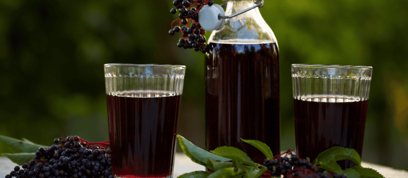 Twee glazen en een fles gevuld met vers vlierbessensap, omgeven door vlierbessen en bladeren, met een groene achtergrond.