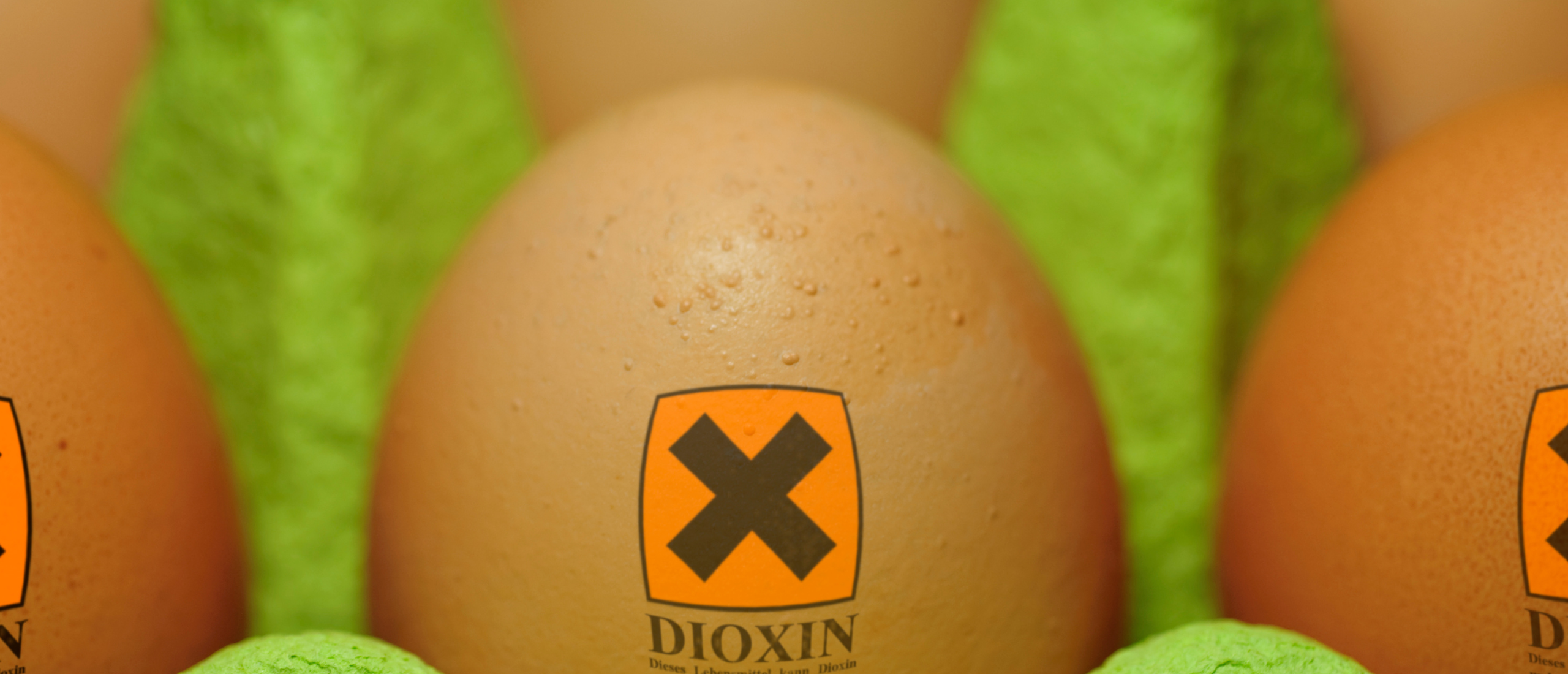Dioxinegevaar in voedselproducten