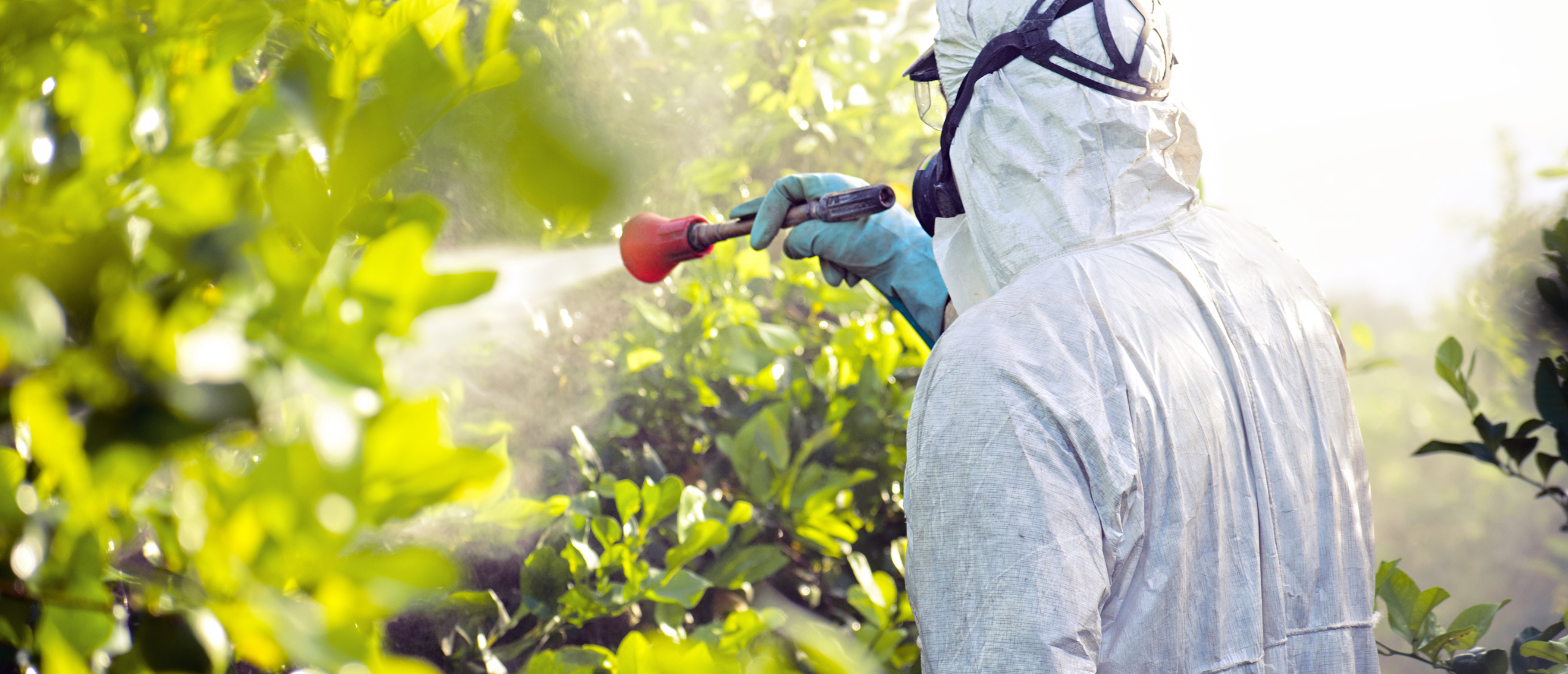 Veilig pesticidengebruik in landbouw