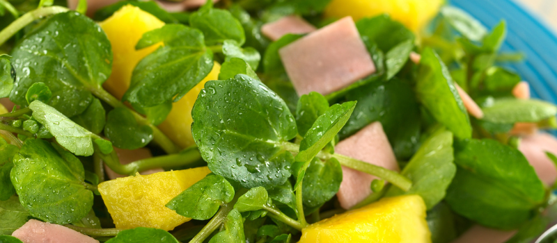 Een salade van waterkers met verse stukjes ham en ananas, gegarneerd met druppels water.