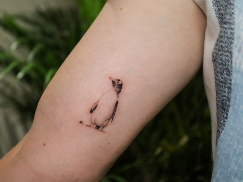 Fine line tattoo Genk Pinguin