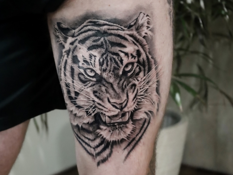 Vitruvian Tattoo Tijger