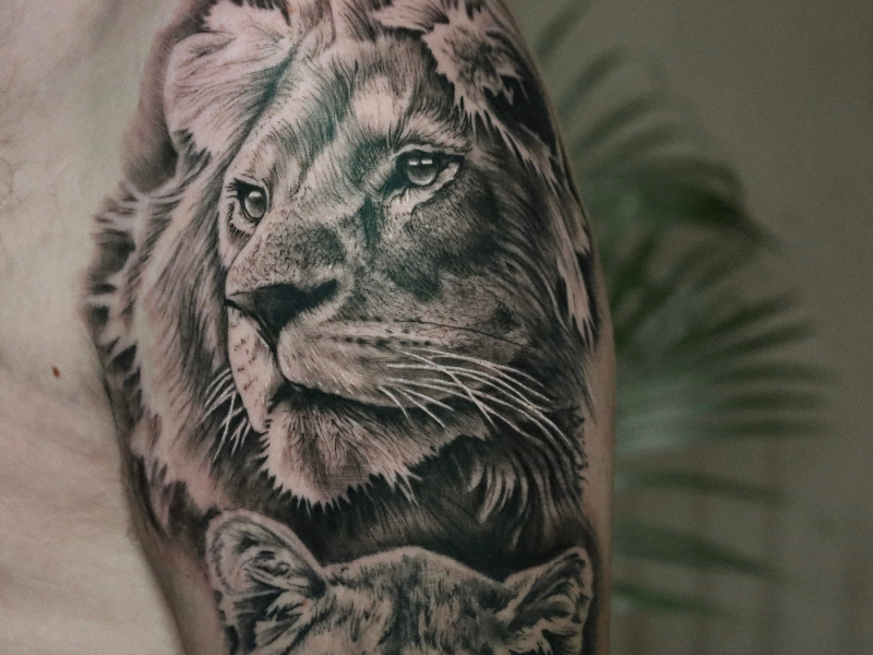 Realisme tattoo Genk leeuw met familie