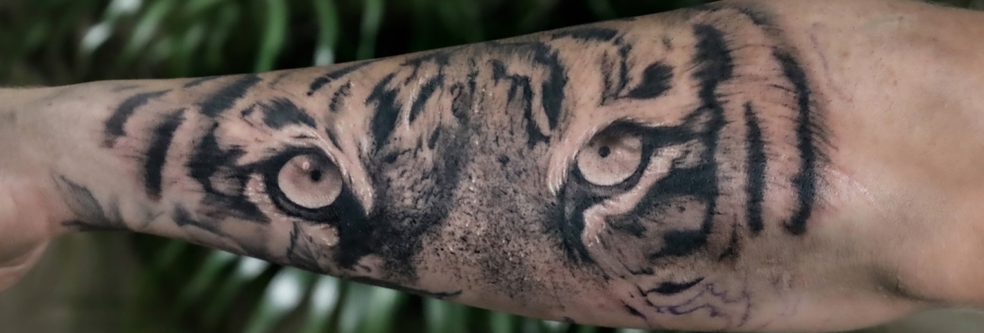 Vitruvian Tattoo Genk Tiger