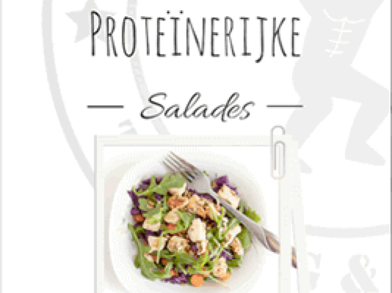 E-book eiwitrijke salades recepten