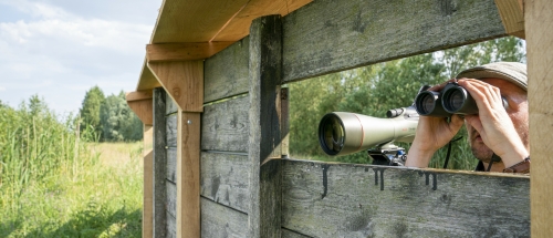 Doe mee met de Vogelspotchallenge