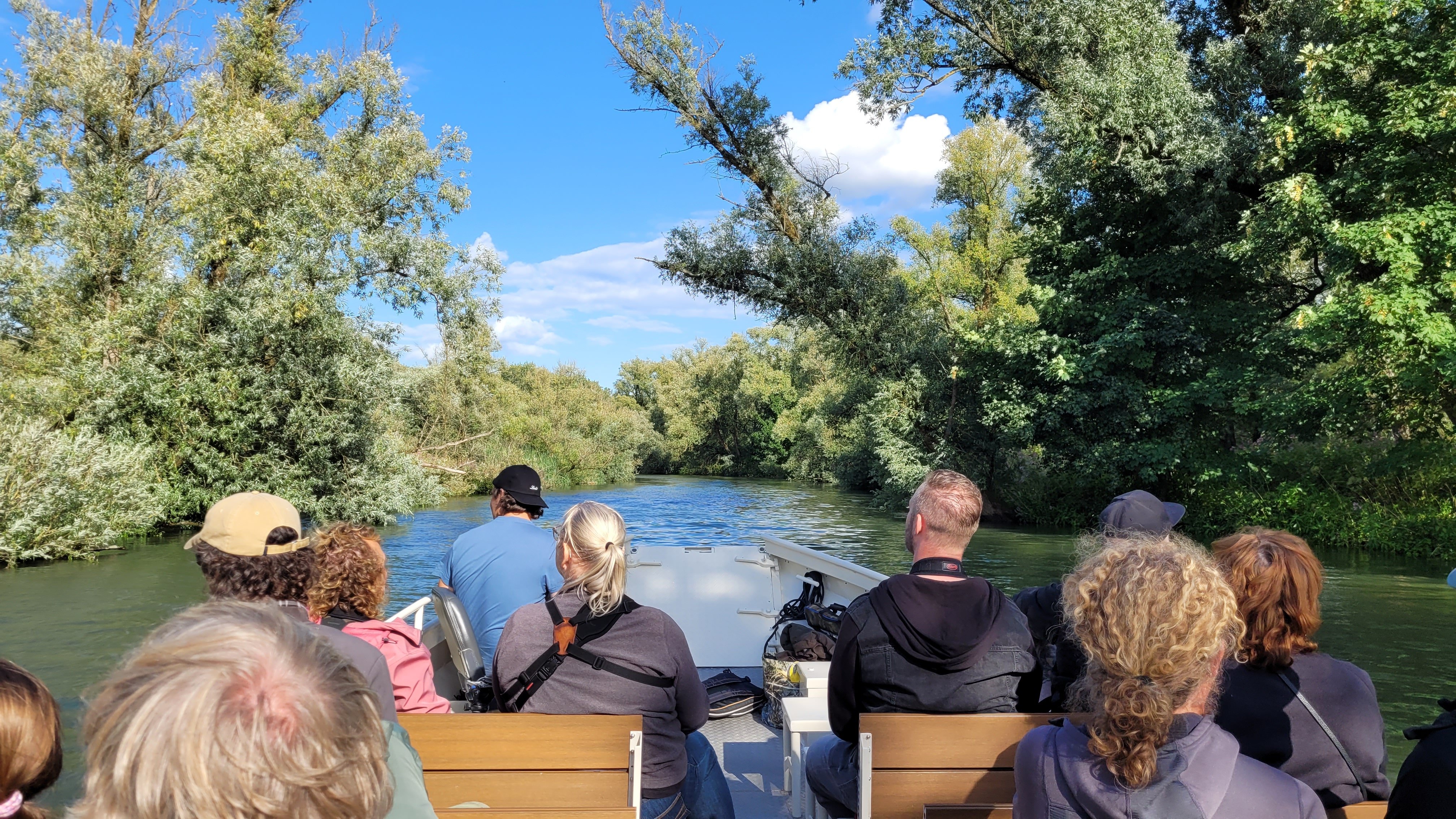 Excursieverslag Biesbosch – dinsdagavond 5 augustus 2025
