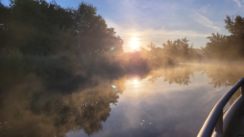 Biesbosch varen vogelexcursie