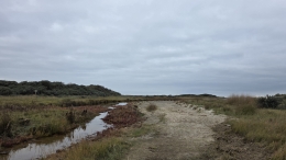 Plek van Vrijheid Kwade Hoek Vitamine V