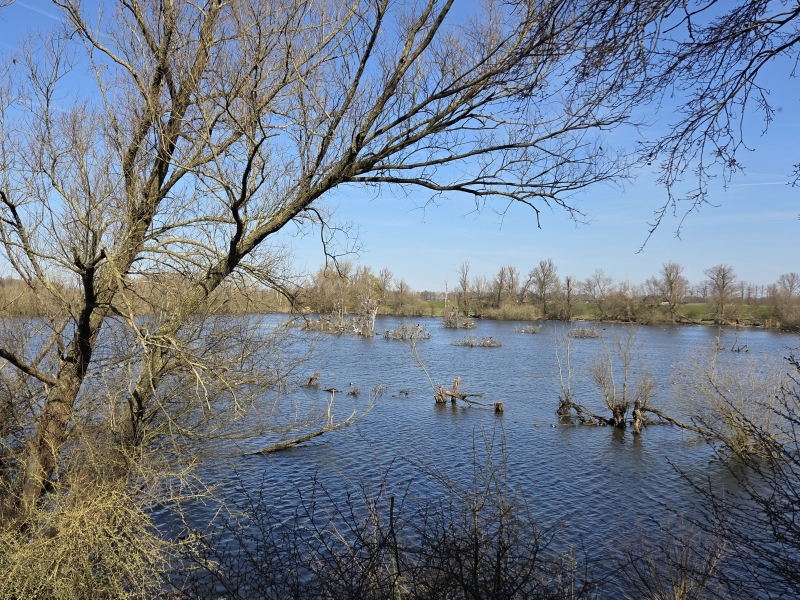 20260318 Blauwe Kamer in de vogelkijkhut bevlogen met Vitamine V