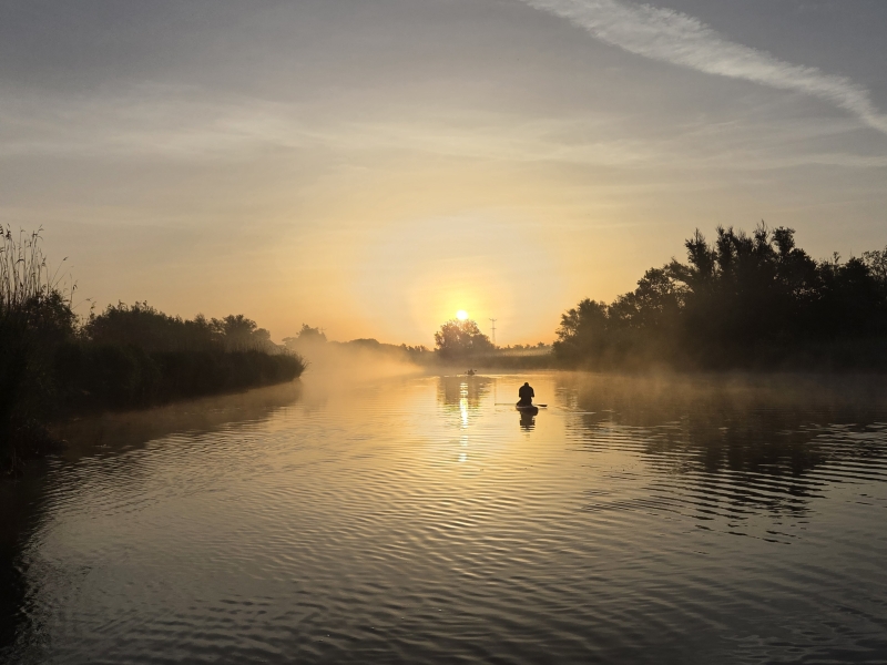 Biesbosch varen ondergaande zon vogelexcursie
