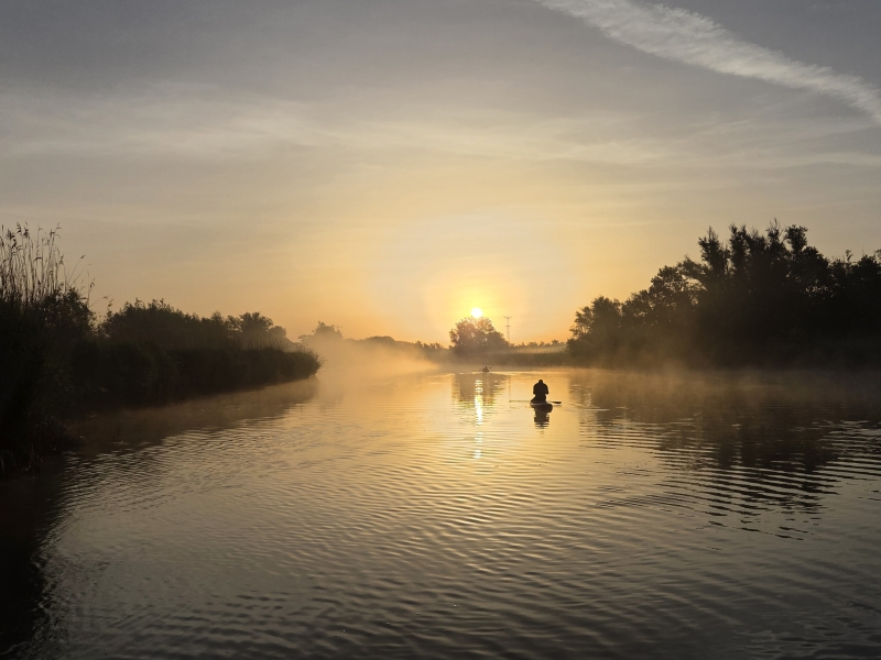 Biesbosch varen ondergaande zon vogelexcursie