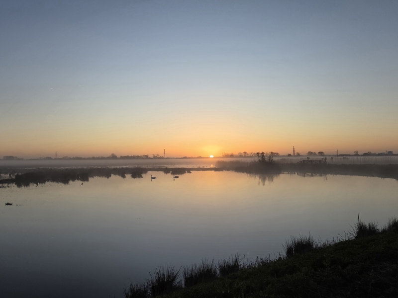 Binnenveldse Hooilanden prachtig landschap vogelexcursie vogels kijken