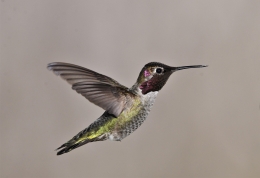 BIRD-tool – Focus: Blijven bij wat ertoe doet Vitamine V