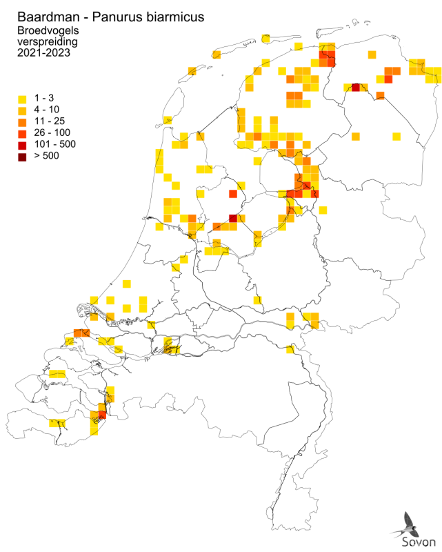 Broedvogels Baardman Sovon