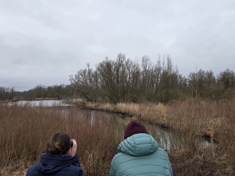 Deelnemers excursie Brabantse Biesbosch vogels kijken Vogelwachter Adriaan