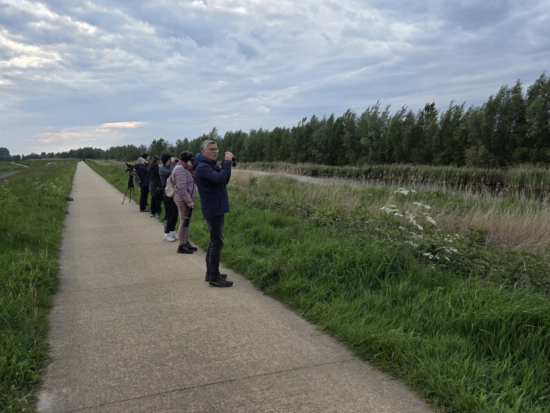 deelnemers vogelexcursie Polder Arkemheen Vogelwachter Adriaan vogels kijken