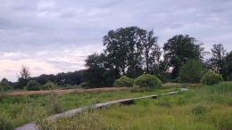 Empese en Tondense Heide vogels kijken vogelspotten vogelexcursie