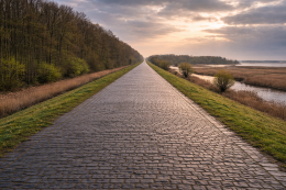 knardijk-plek-van-doen-als-het-spannend-wordt-de-knardijk Vitamine V