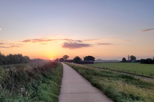 Polder Arkemheen in de ochtend tijdens vogelexcursie
