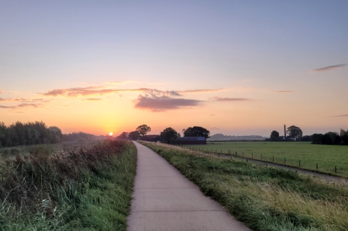 Polder Arkemheen in de ochtend tijdens vogelexcursie
