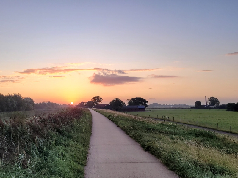 Polder Arkemheen in de ochtend tijdens vogelexcursie