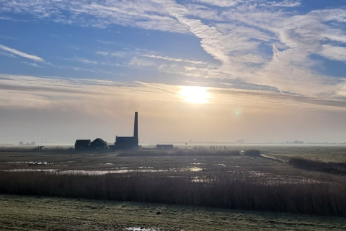 Polder Arkemheen in de winter tijdens vogelexcursie vogels kijken