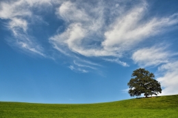 BIRD-tool – Rust, Ruimte, Richting Vitamine V