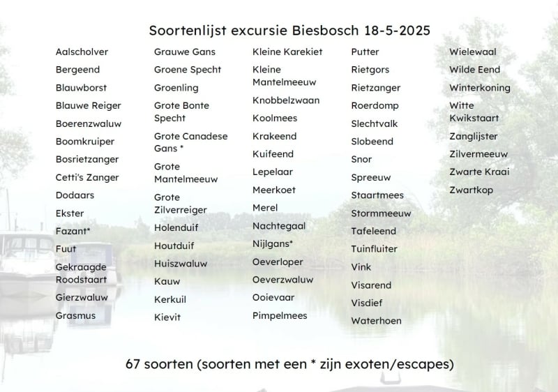 soortenlijst-excursie-biesbosch-18-5-2025