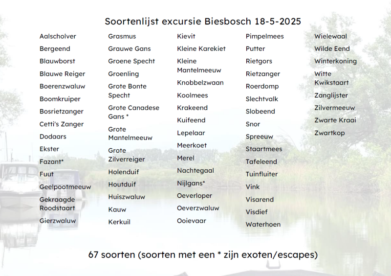 soortenlijst vogelexcursie Biesbosch 18 mei 2025