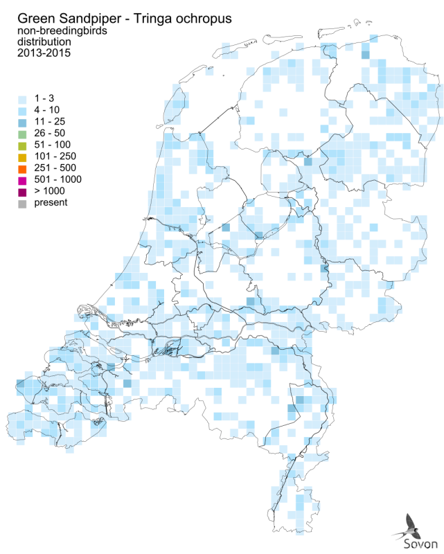 Voorkomen Witgat in Nederland