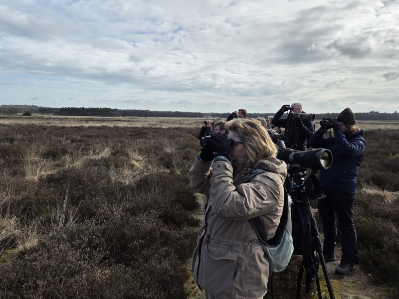deelnemers Edese Bos en Edese Hei vogelexcursie spechtensafari