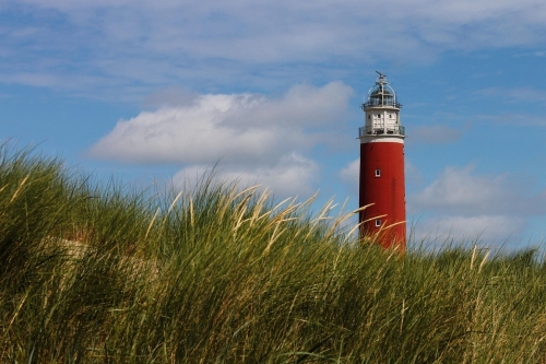 Texel vogels kijken bij de vuurtoren