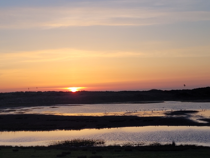 Texel zonsopkomst vogels kijken