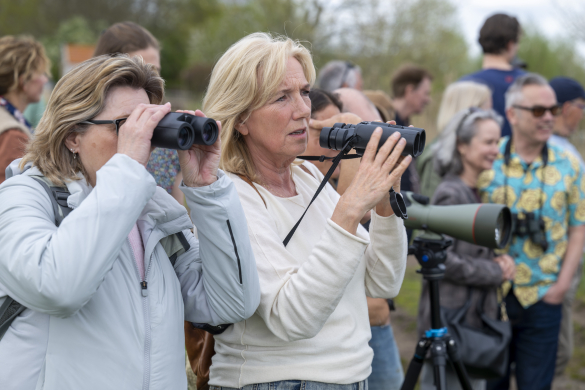 groep vogelliefhebbers tijdens vogelexcursie