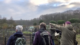 Vogels kijken in het Edese Bos en op de Edese Hei