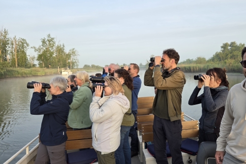 Vogels kijken en varen Hollandse Biesbosch vogelexcursie Vogelwachter Adriaan