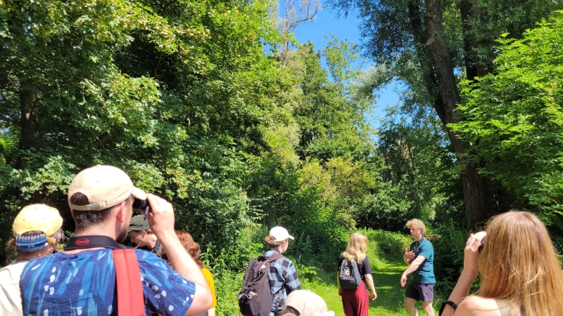 varen-en-vogels-spotten-biesbosch-teamuitje