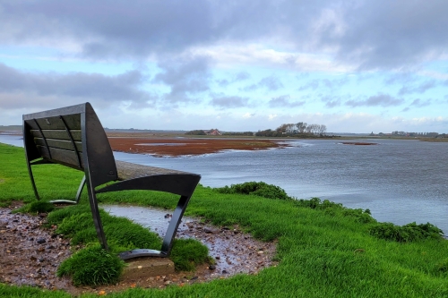 Zeeland is echt fantastisch om vogels te kijken