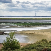 Zeeland vogels kijken vogelexcursie Vogelwachter Adriaan