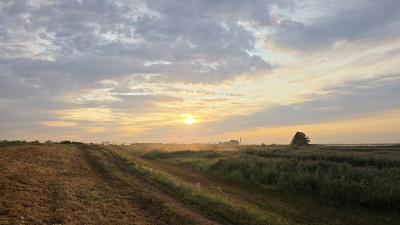 Zonsopkomst boven polder Arkemheen tijdens vogelexcursie Zonsopkomst boven polder Arkemheen tijdens vogelexcursie vogels spotten
