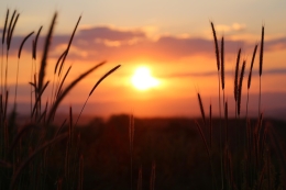 zonsopkomst in de natuur vogels kijken vogelspotten