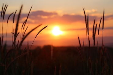 zonsopkomst in de natuur vogels kijken vogelspotten