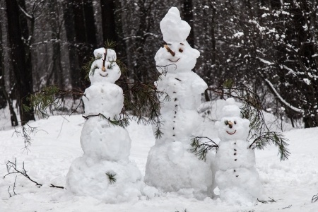 Verlangen naar sneeuw, ijs en kou!