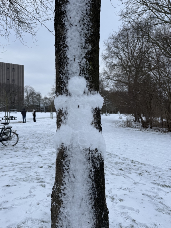 De wereld zien als een kind